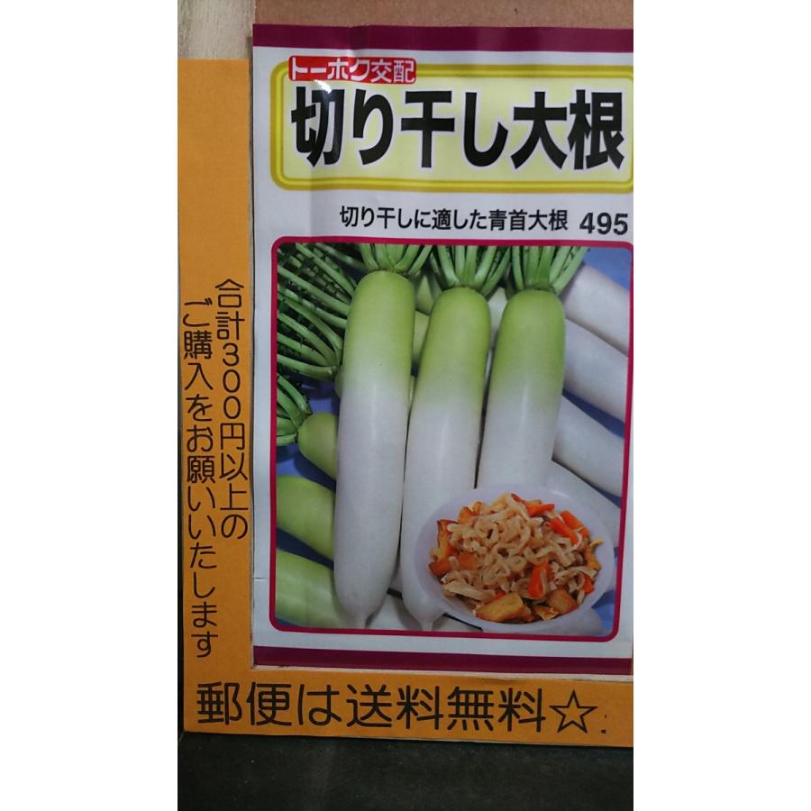 割引 切り干し 大根 青首 切干 きりぼし ダイコン 種 郵便は送料無料 当店