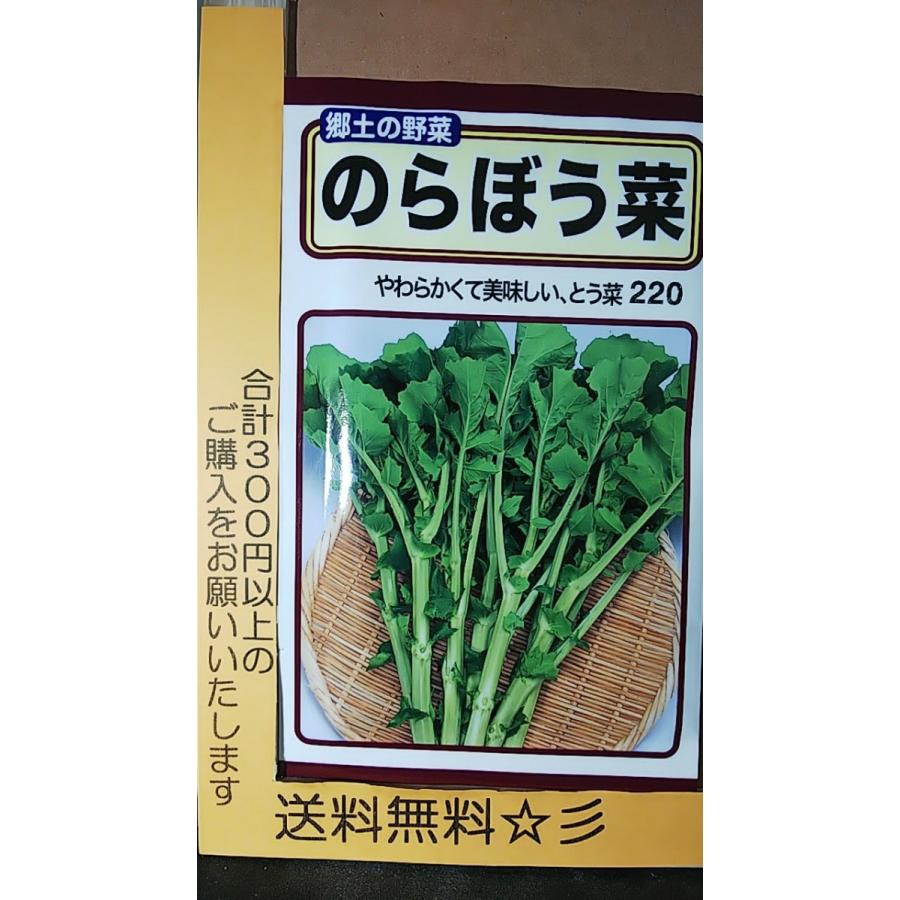 のらぼう菜 とう菜 野良坊菜 ギガランキングｊｐ