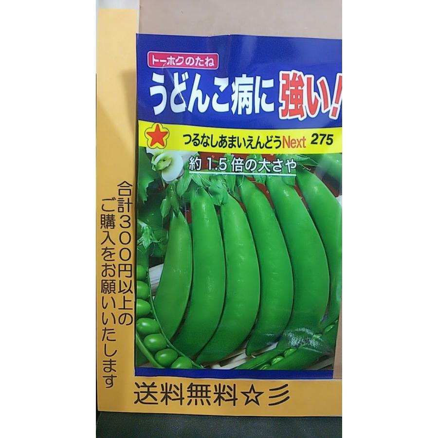うどんこ病に強い つるなし あまい えんどう Next 大さや 種 送料無料 Tkudonkobyounituyoiendou きのくに種苗店 通販 Yahoo ショッピング