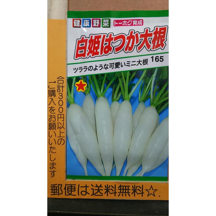 49円 最大54 オフ 白姫 はつか 大根 ミニ ラディッシュ ２０日 種 郵便は送料無料