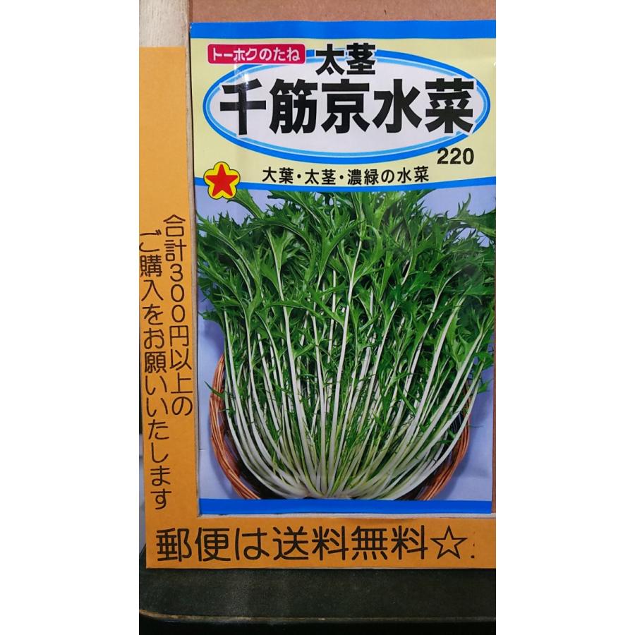 最大41 Offクーポン 太茎 千筋 京水菜 大葉 種 郵便は送料無料