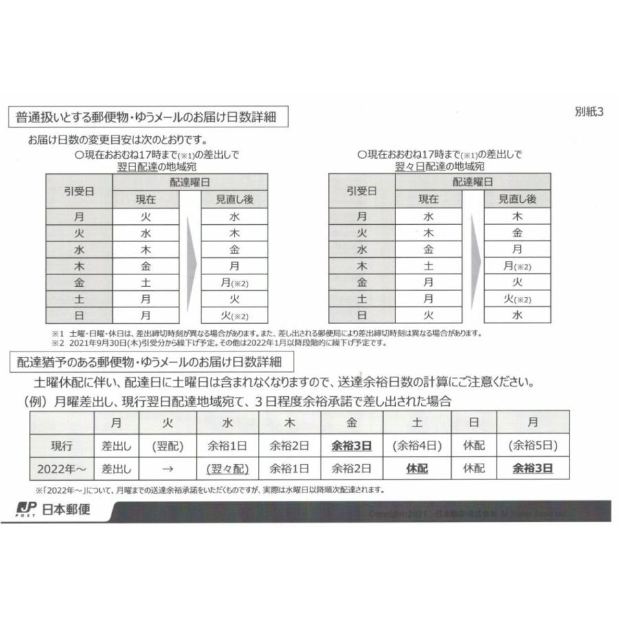 ３袋以上でクーポン割引 小松菜 照彩 コマツナ 種 郵便は送料無料｜aridafarm｜08