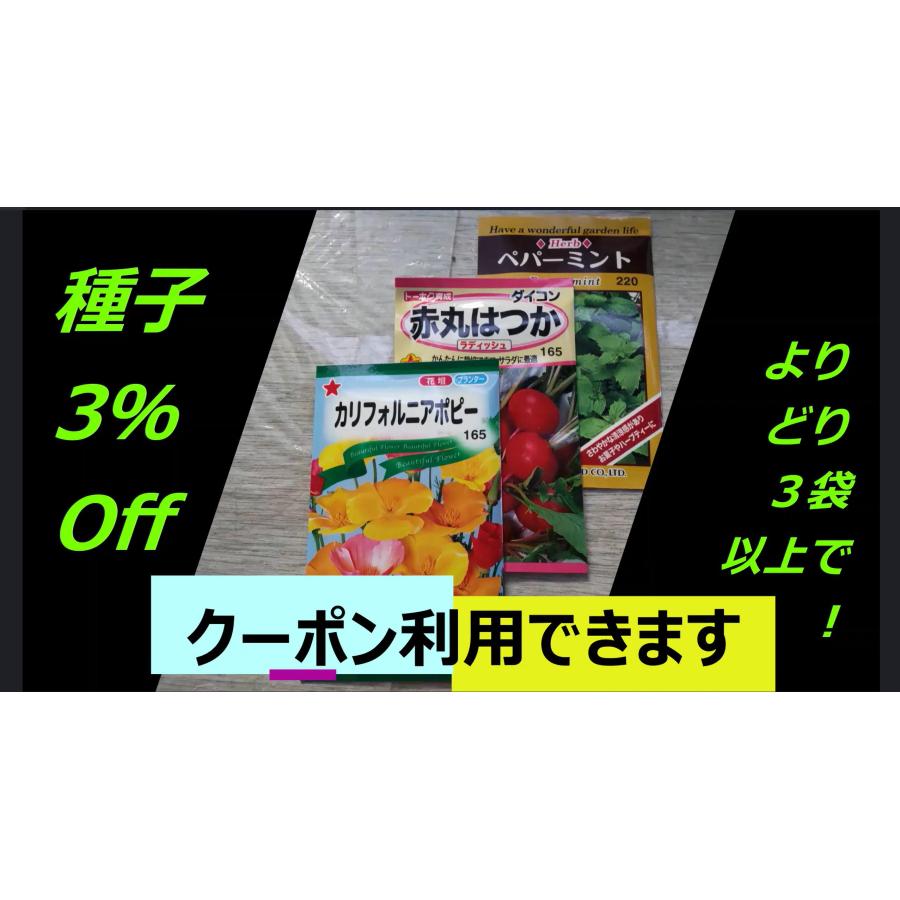 ３袋以上でクーポン割引 ひなげし ポピー 種 郵便は送料無料｜aridafarm｜04