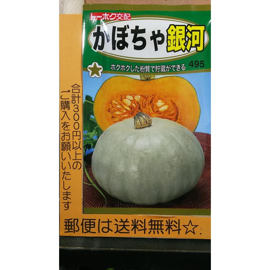 66円 売店 カボチャ かぼちゃ 南瓜 タネ 露地抑制栽培 東京南瓜 1袋 5ml 種