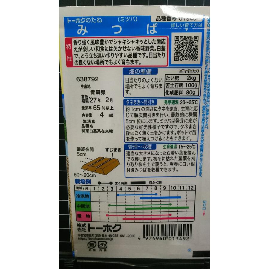 3袋以上でクーポン割引 みつば 三つ葉 三葉 種 郵便は送料無料 : きの