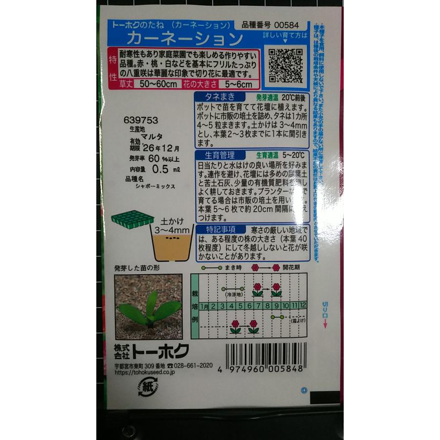 3袋以上でクーポン割引 カーネーション 種 郵便は送料無料 : きのくに