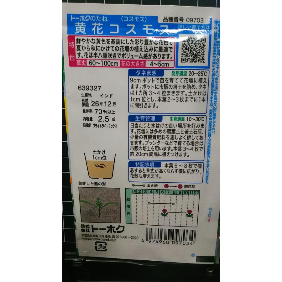 3袋以上でクーポン割引 黄花 コスモス 秋桜 種 郵便は送料無料 : きの