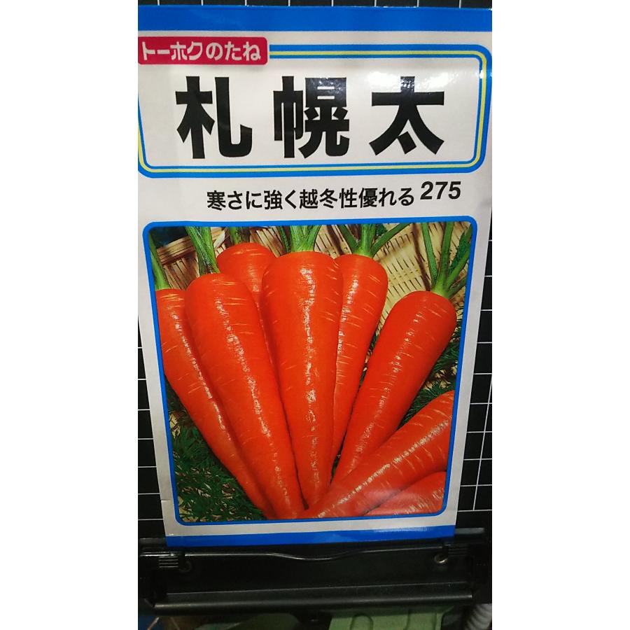 3袋以上でクーポン割引 札幌 太 ニンジン 人参 種 郵便は送料無料