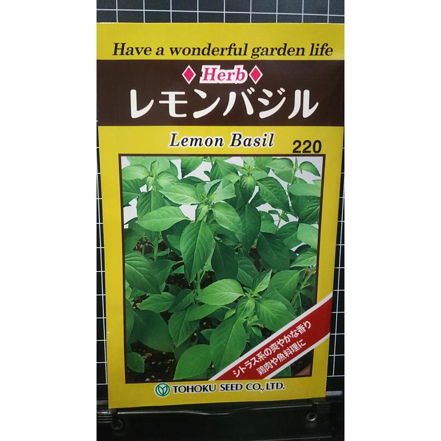 3袋以上でクーポン割引 レモン バジル 種 郵便は送料無料 : きのくに