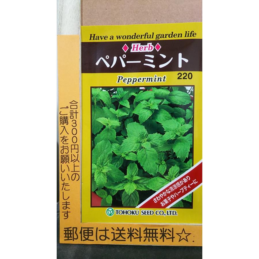 数量限定セール ペパーミント ハーブ 種 郵便は送料無料 Wantannas Go Id