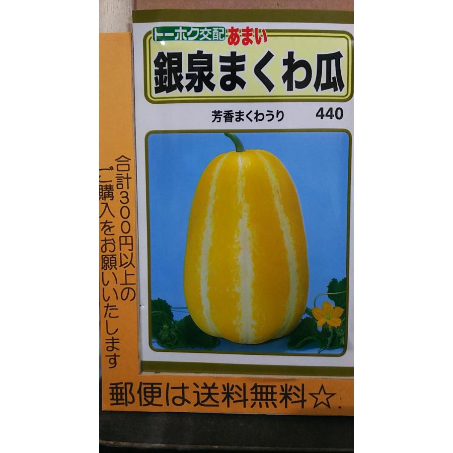 選択 あまい 銀泉 まくわ うり 瓜 芳香 種 郵便は送料無料 columbiatools.com 選択 あまい 銀泉 まくわ うり 瓜 芳香 種 郵便は送料無料 columbiatools.com