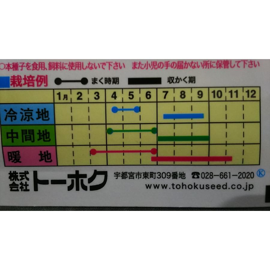 選択 あまい 銀泉 まくわ うり 瓜 芳香 種 郵便は送料無料 columbiatools.com 選択 あまい 銀泉 まくわ うり 瓜 芳香 種 郵便は送料無料 columbiatools.com