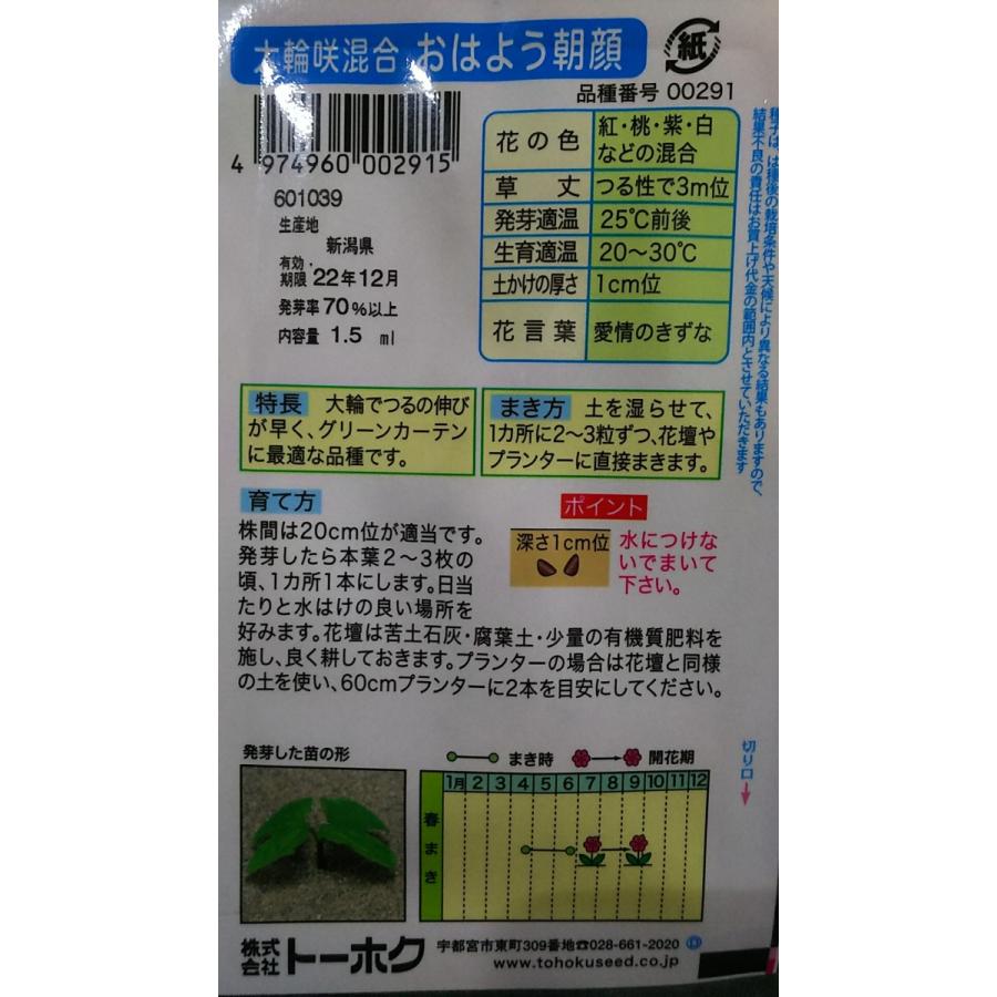 98 Off おはよう あさがお 大輪咲 混合 朝顔 種 郵便は送料無料 Sarozambia Com