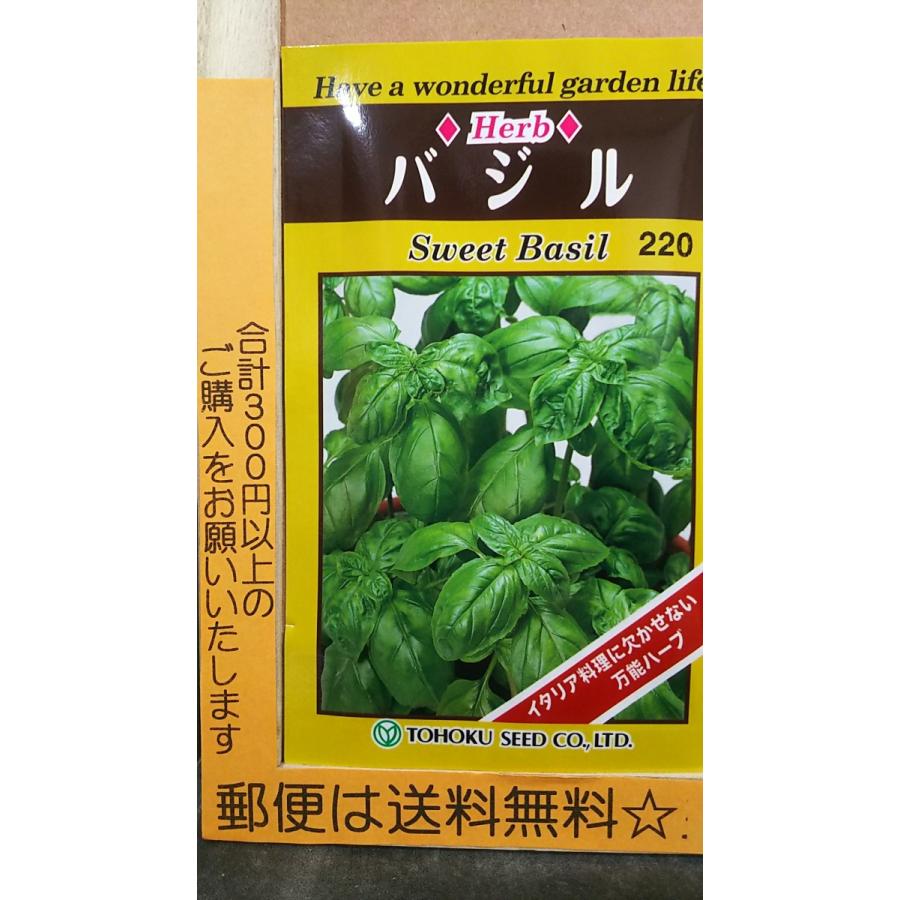 バジル バジリコ スイートバジル ハーブ 種 郵便は送料無料 Tr8cbajiru きのくに種苗店 通販 Yahoo ショッピング