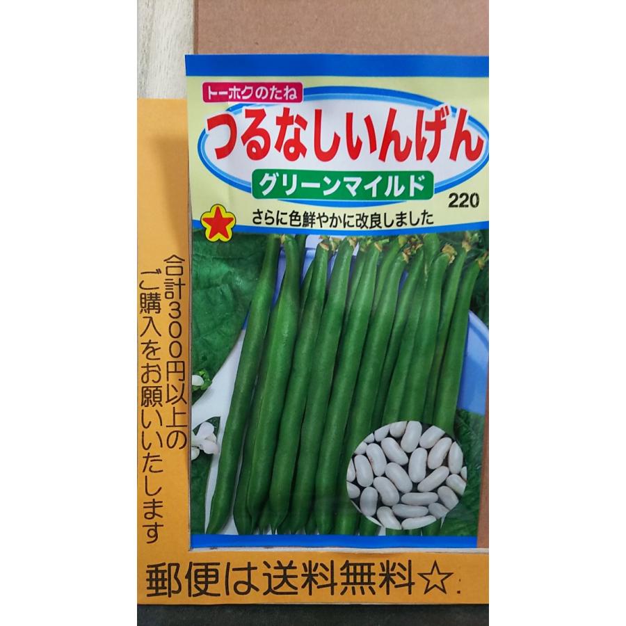 12月スーパーsale 岡山サラダ菜 タキイ種苗のサラダ菜品種です 種の通販ならグリーンデポ