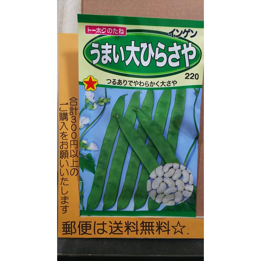 うまい 大ひらさや つるあり インゲン 種 郵便は送料無料
