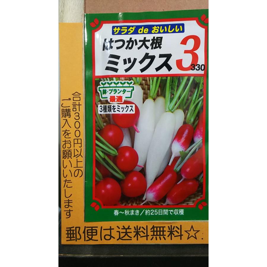 99円 オンラインショップ はつか大根 ２０日 ラディッシュ ミックス３ 種 郵便は送料無料