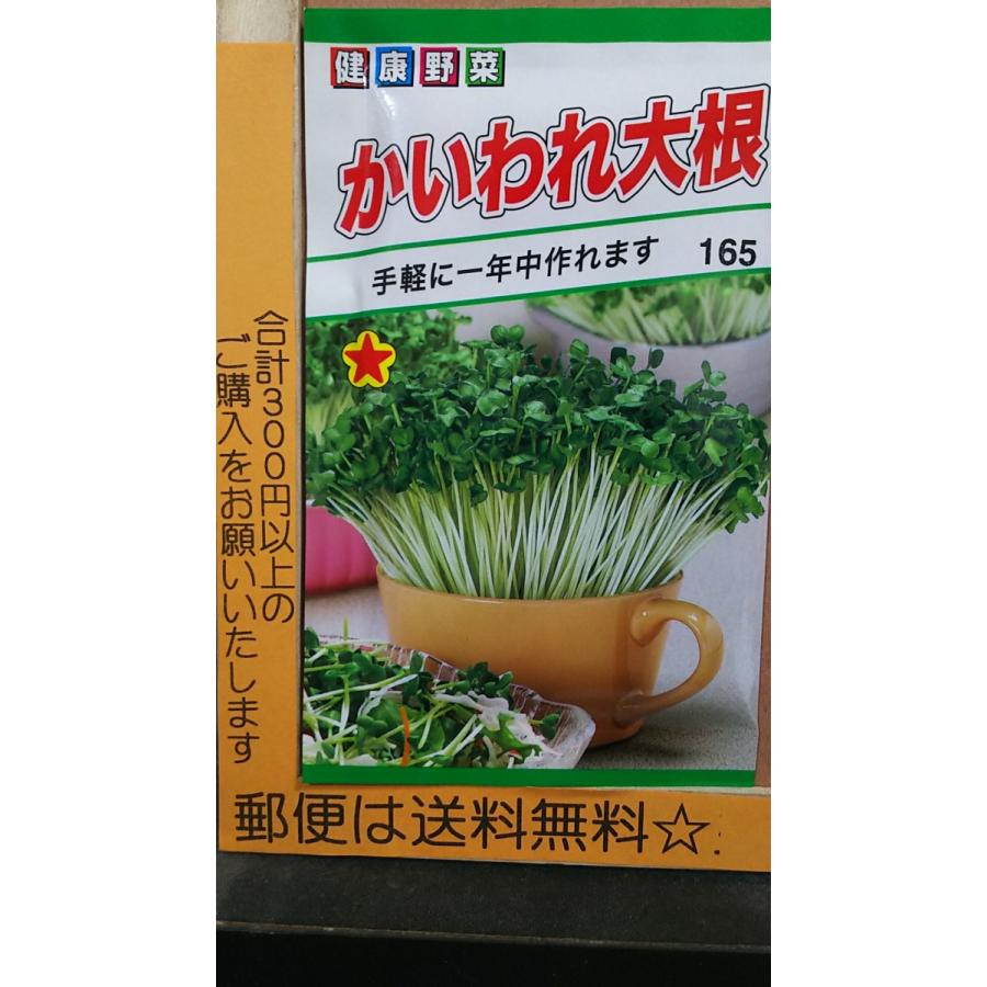 ファッション通販 かいわれ 大根 スプラウド 種 郵便は送料無料