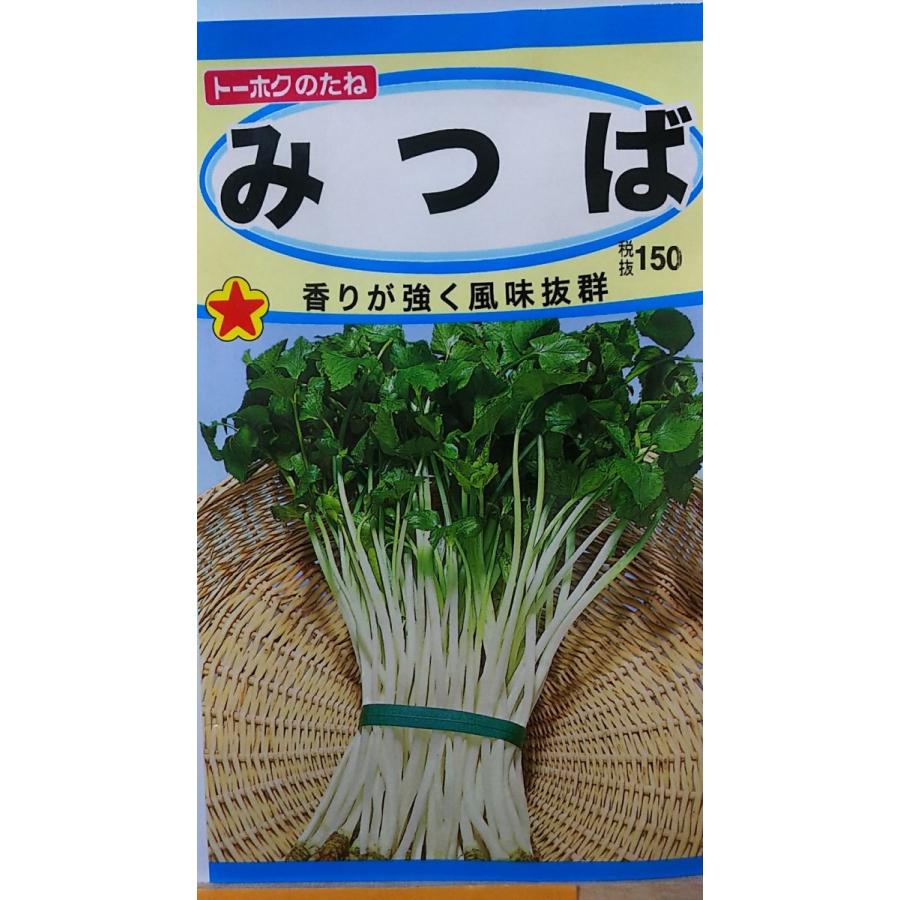 みつば 三つ葉 種 ギガランキングｊｐ
