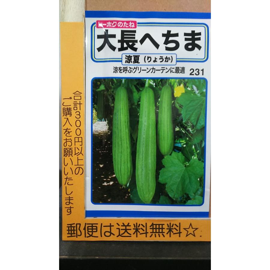 大長 へちま 涼夏 グリーンカーテン 種 郵便は送料無料 Trryouka きのくに種苗店 通販 Yahoo ショッピング