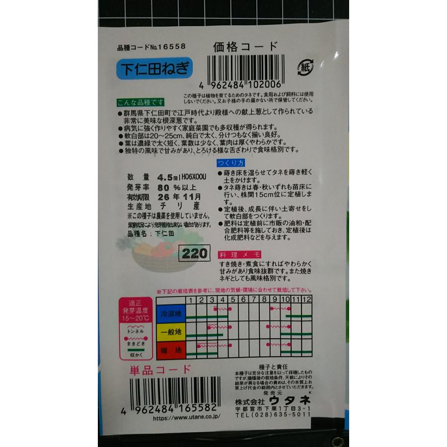 3袋以上でクーポン割引 下仁田 葱 ねぎ しもにたねぎ 種 郵便は送料