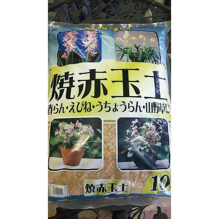 本州 四国 九州 送料無料 約10リットル 小粒 焼赤玉土 Yakiakadamakotubu きのくに種苗店 通販 Yahoo ショッピング