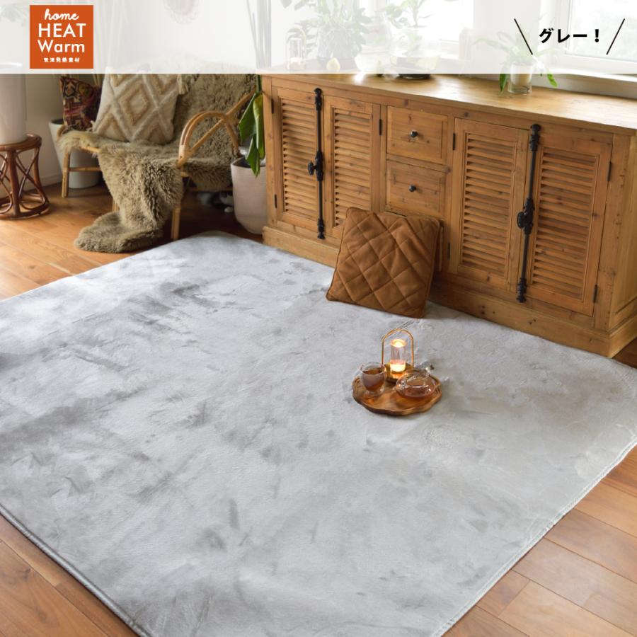 ラグ マット カーペット 吸湿 発熱 機能 省エネ エコ 洗える 180×180 