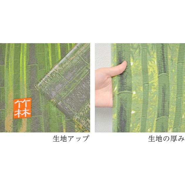 のれん 暖簾 ロング 85×170 竹 竹林 和風 和 洗える おしゃれ 間仕切り