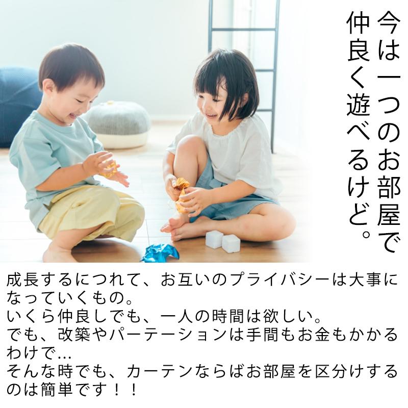 間仕切り アコーディオンカーテン パーテーション 100×260 遮像 UVカット シンプル ロング しきるくん 「A-2」 | ブランド登録なし | 06