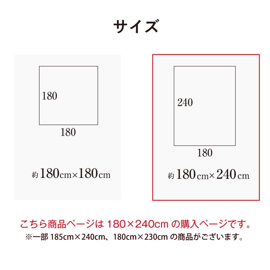 ラグ 3畳 180×230 180×240 185×240 長方形 綿 洗える 選べる11種類
