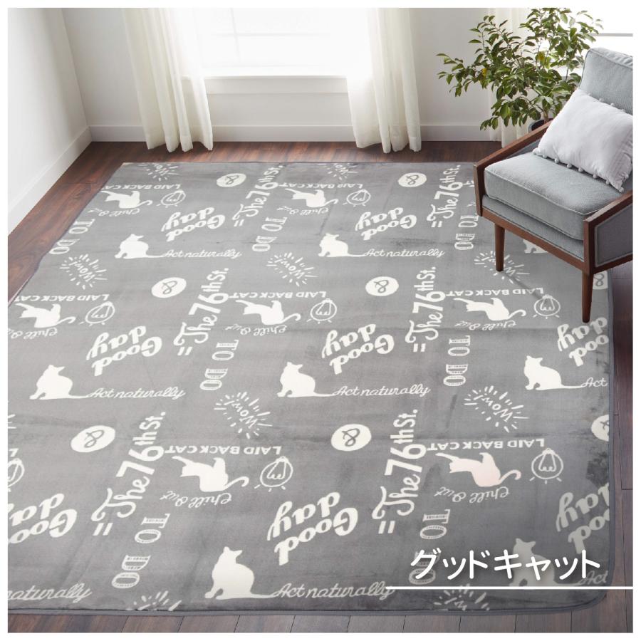 ラグ カーペット 200×250 3畳 長方形 フランネル ホット ラグ カーペット 200×250 3畳 長方形 フランネル ホット