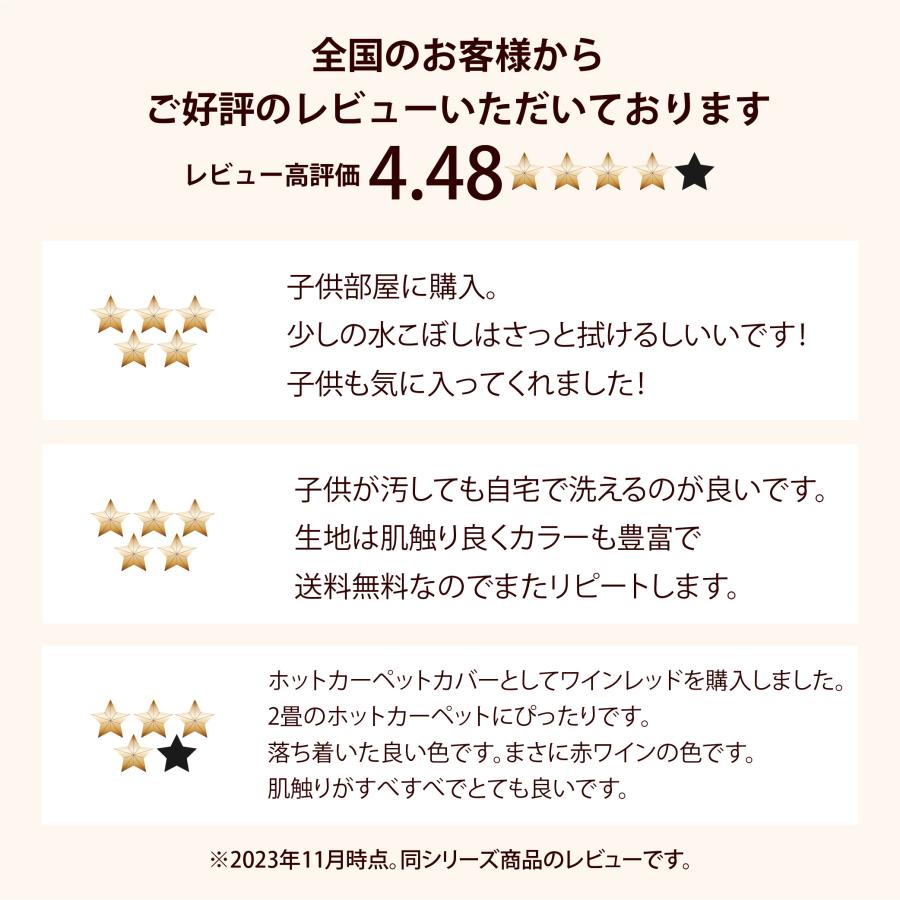 ラグ 3畳 200×250 長方形 ラグマット 無地 かわいい ホット ラグ 3畳 200×250 長方形 ラグマット 無地 かわいい ホット