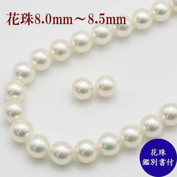 鑑別書付【花珠級】あこや真珠 パール ネックレス 真珠 SILVER刻印 8㎜ パール シルバーネックレス(花珠/アコヤ真珠/7.5mm～8.0mm/6月