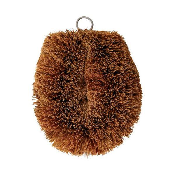 最強ポケモンランキング Aries Spt まとめ キクロン ヤシの実たわし 300セット 安くて可愛い人気 Lawtoncc Com