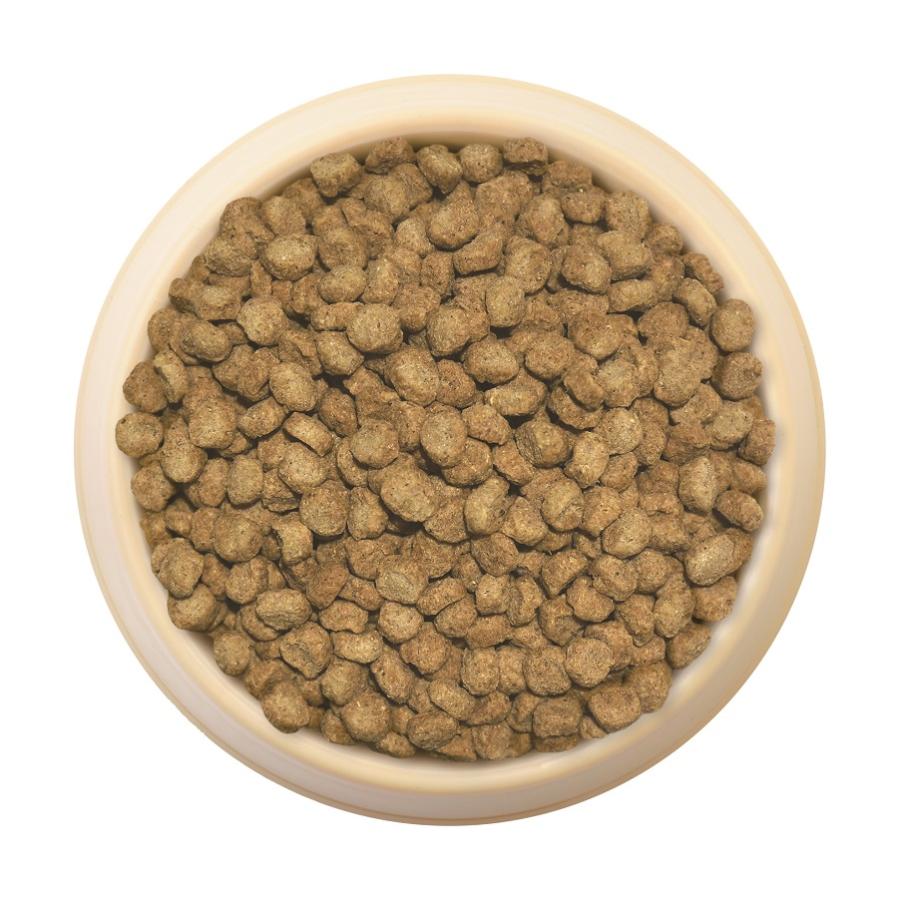 Super Gold 森乳 スーパーゴールド おなかラボ シニア犬用 2.4kg