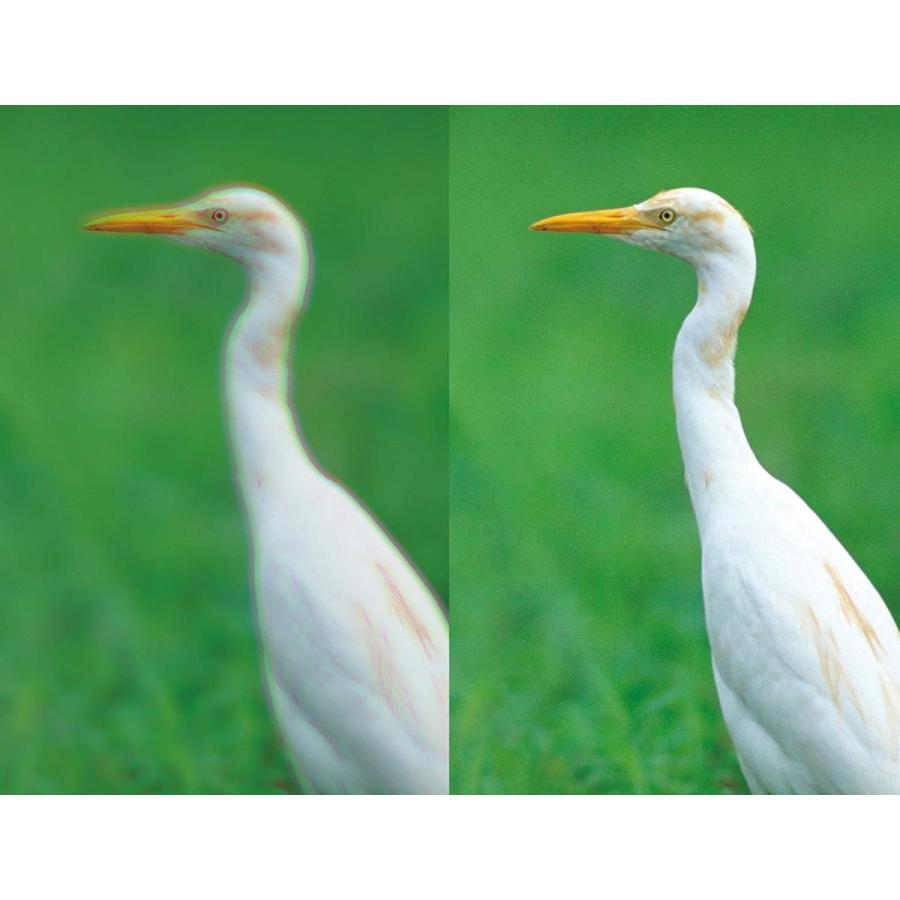 Kenko 双眼鏡 Avantar 10×42 ED DH 10倍 42口径 ダハプリズム式 EDレンズ使用 アルミダイキャストボディ AV Kenko 双眼鏡 Avantar 10×42 ED DH 10倍 42口径 ダハプリズム式 EDレンズ使用 アルミダイキャストボディ AV