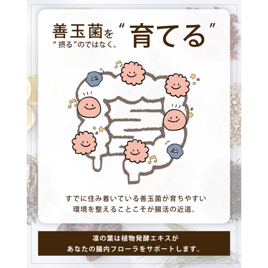酵素ドリンク 凛の葉 720ml 2本セット 無添加 植物発酵エキス