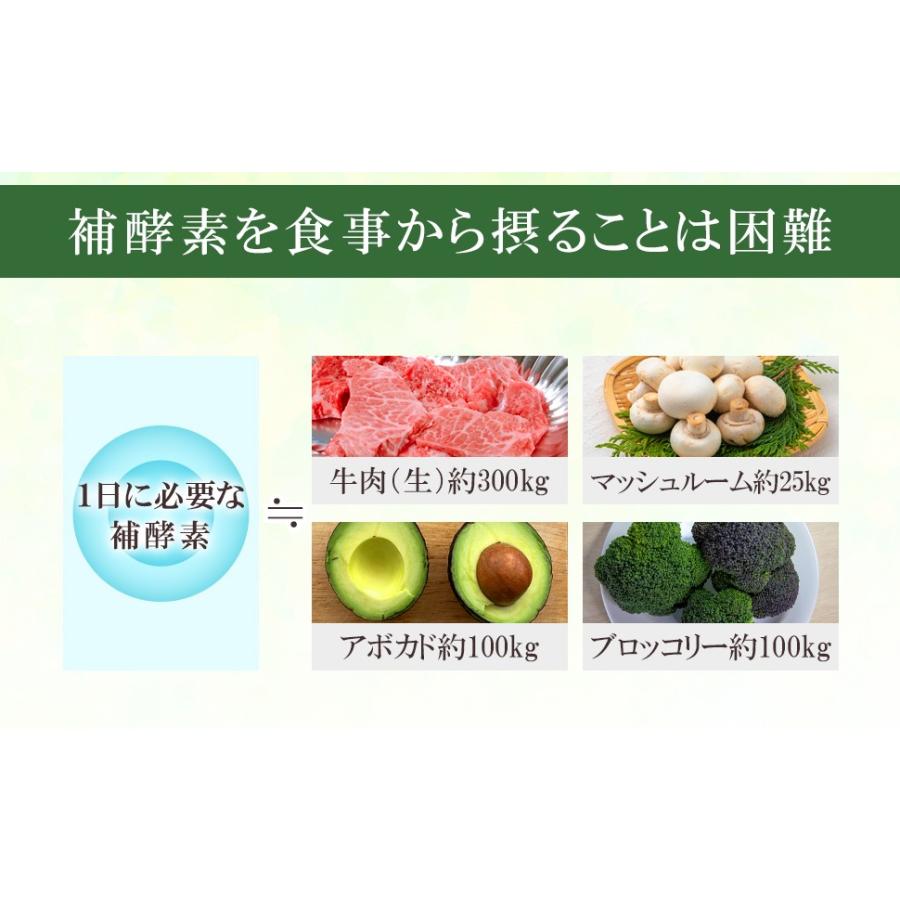 5デアザフラビン協会認定正規商品】5本セット フェリアラボ 国産