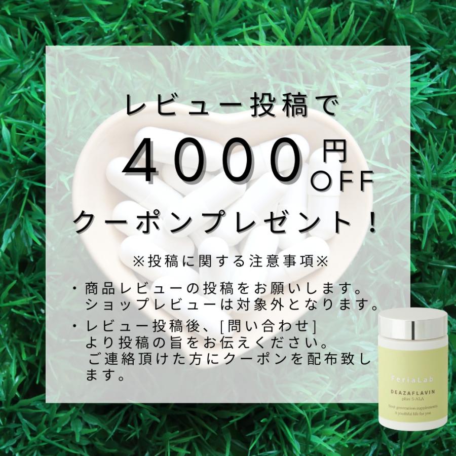 FeriaLab 【国産原料デアザフラビン使用】協会認定商品 5 FeriaLab 【国産原料デアザフラビン使用】協会認定商品 5