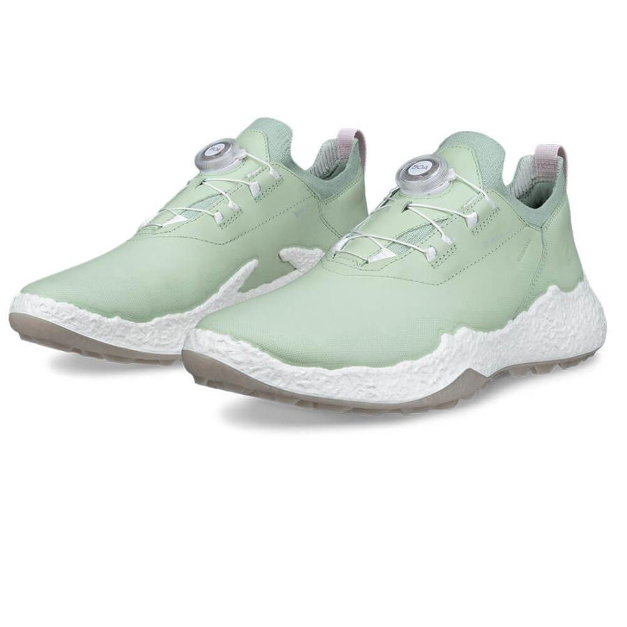 バイオム 2025年モデル ECCO エコー レディース BIOM H5 BOA ボア