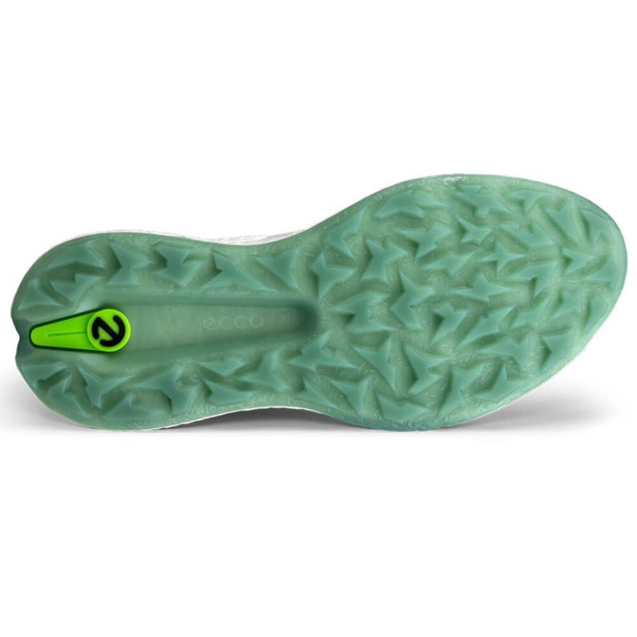 バイオム 送料無料 2025年モデル ECCO エコー メンズ BIOM H5 BOA ボア