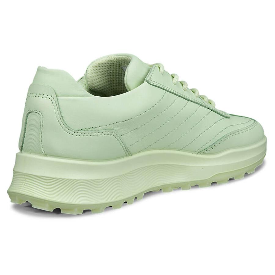 バイオム 送料無料 2026年モデル ECCO エコー レディース STREET VIBE