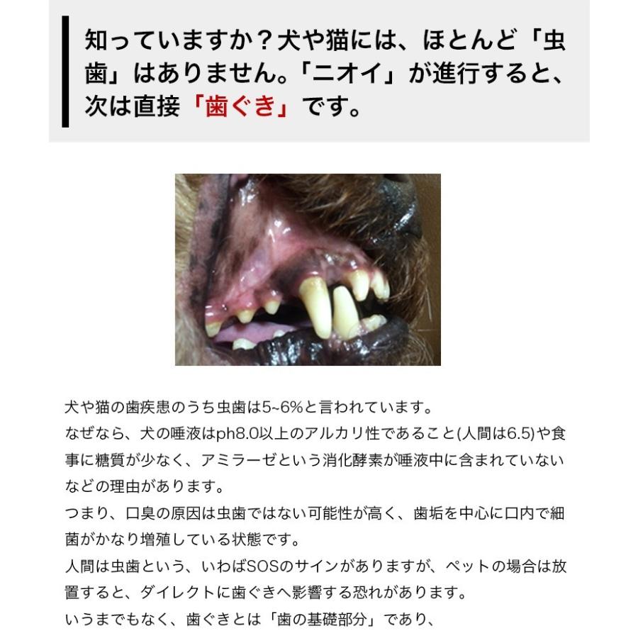 犬のデンタルケア 「ドクターアルファ」Dr.α　歯石取り 30ml｜arigataya-kyushu｜04