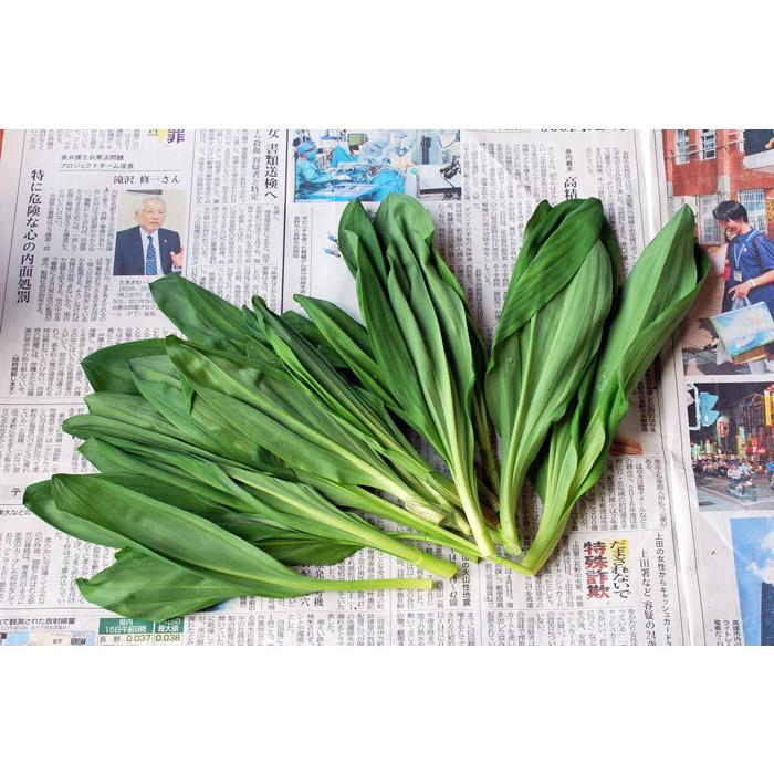 正規品送料無料 葉が開いた 行者ニンニク６ｋｇ 大小バラ詰め 発送時期は５月中旬 ご注文順に出荷 Wantannas Go Id