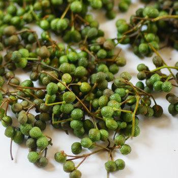 人気沸騰 小さい山椒の実１００ｇ 大小バラ詰め 発送時期は６月中旬 ご注文順に出荷 Wantannas Go Id