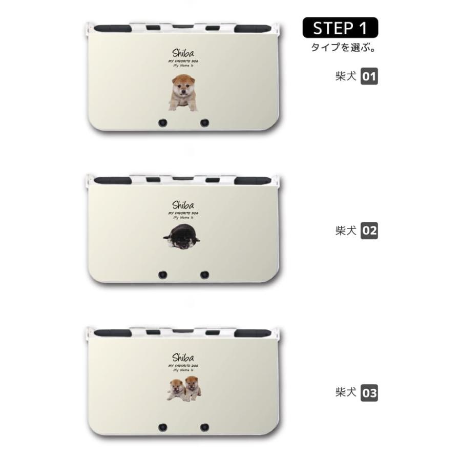 ニンテンドー 3DS DS 22個 まとめ売り ケースあり ケースなし