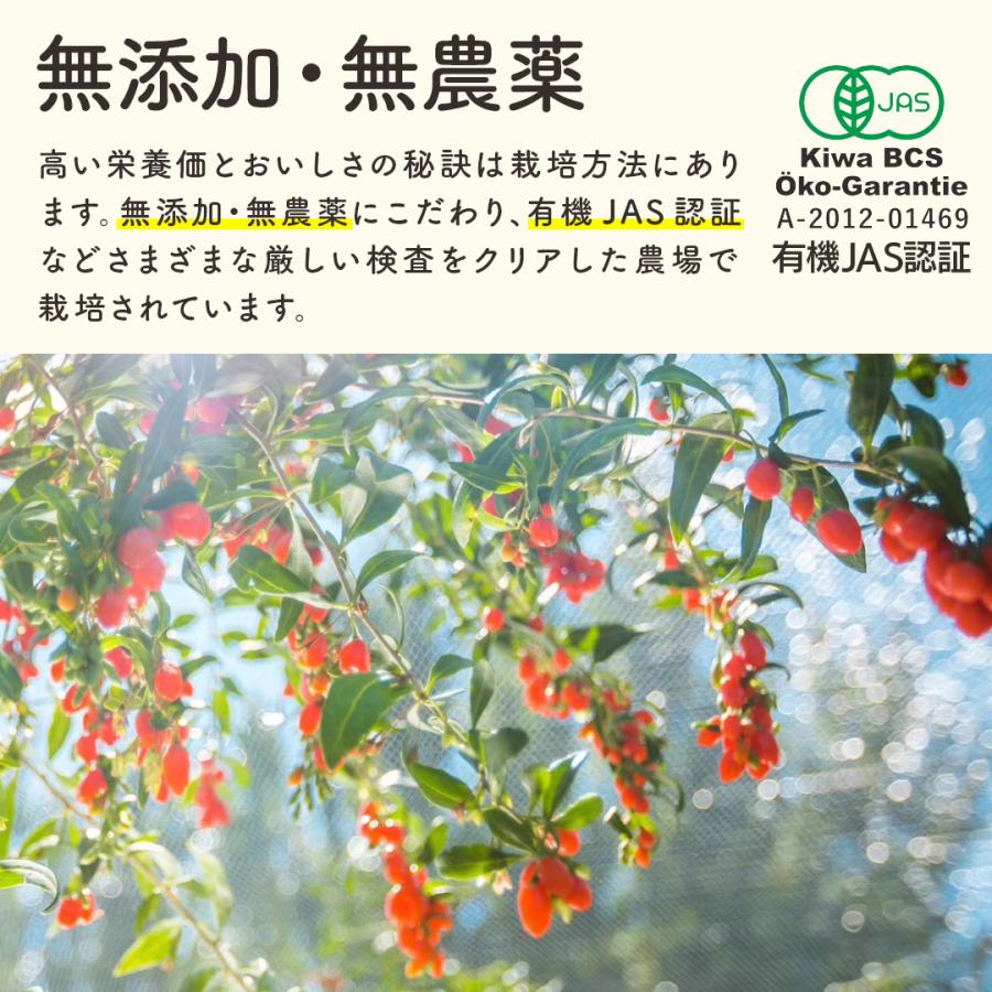 大粒クコの実100gx4袋 無農薬 JAS有機認定 低温 生乾燥 寧夏産 肉厚 オーガニック ゴジベリー お茶 くこのみ 美味しい おやつ 新パッケージ｜arigatousansan｜06