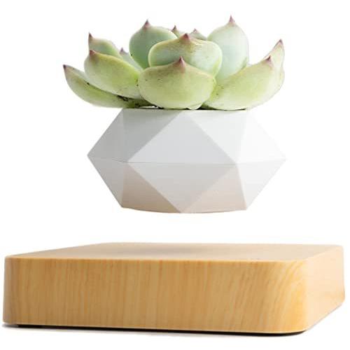 Moetatsu 植木鉢 おしゃれなインテリア 面白いグッズ 多肉植物用鉢 贈り物 プレゼント ギフト 白色 日本語取扱説明書付き 磁気浮上 植木鉢 空中浮遊 植木鉢 おしゃれなインテリア 面白いグッズ 多肉植物用鉢 贈り物 日本語取扱説明書付き 花 ガーデニング ギフト S