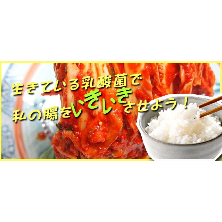 【送料無料】三口一品 白菜キムチ 5kg キムチ5キロ 無添加 発酵 キムチ 白菜 無添加キムチ 手作りキムチ 熟成キムチ 安全 きむち おつまみ｜arin0708｜09