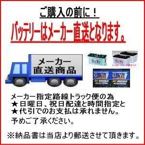 2個セット G&Yu ディープサイクルシールドバッテリー EV6390 (6V電圧) テーパー端子AGMタイプ (九州、関東センターのみの扱い)　個人宅様への配送不可。